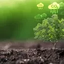 Court Nullifies IRS Rule Impeding Renewable Energy Tax Credits
