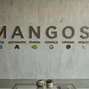 MANGOS: The Next Generation of Market Leaders
