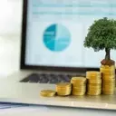 Columbia Select Mid Cap Growth Fund: Q1 2026 Performance Insights