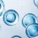 IDEAYA Biosciences: A 'Strong Buy' on Darovasertib's Potential and Strategic Growth