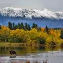 First National Bank Alaska: A Prudent Hold Amidst Emerging Risks
