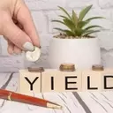 Beyond the Hype: Discovering Value in Overlooked Dividend Stocks