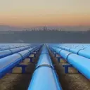 Woodside Energy: Poised for Growth and Shareholder Value