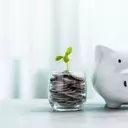 Strategic Investment Moves Amidst Market Peaks: A May 2026 Review
