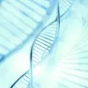 H.C. Wainwright Maintains 'Buy' for Structure Therapeutics (GPCR)