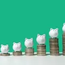 Understanding Dividend Growth: A Weekly Review of Champion, Contender, and Challenger Stocks