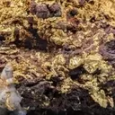 New Found Gold: Navigating Risk and Opportunity in Gold Exploration
