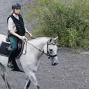 Guide Complet pour l'Équitation : Débuter, Progresser et Prendre Soin de Son Cheval
