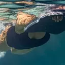 Renforcer son plancher pelvien : exercices et activités