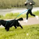 Courir avec son chien : conseils et témoignage pour une aventure réussie
