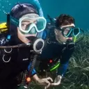 Transition du Snorkeling à la Plongée Sous-marine : Un Guide Complet