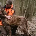 Chasse à la bécasse : Guide complet pour un équipement Solognac adapté