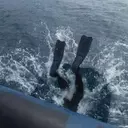 Guide complet pour vaincre le mal de mer en plongée sous-marine