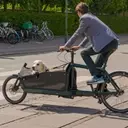 Guide Complet pour Choisir la Remorque de Vélo Idéale pour Votre Compagnon Canin