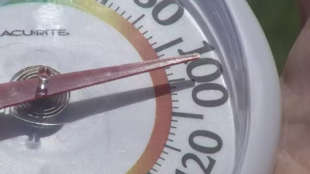 Heatwave Hazards: Community Alert on Car Safety for Kids