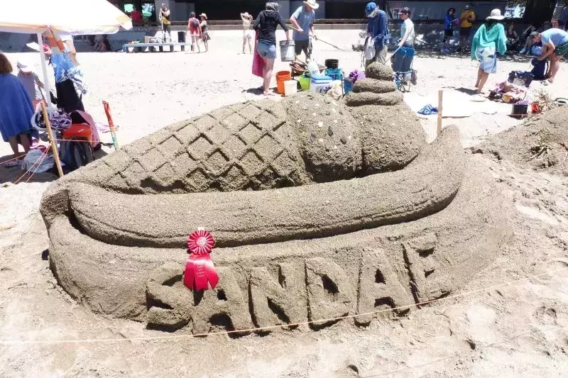 Bay Area Summer Adventures: A Parent's Guide to Unique Family Fun