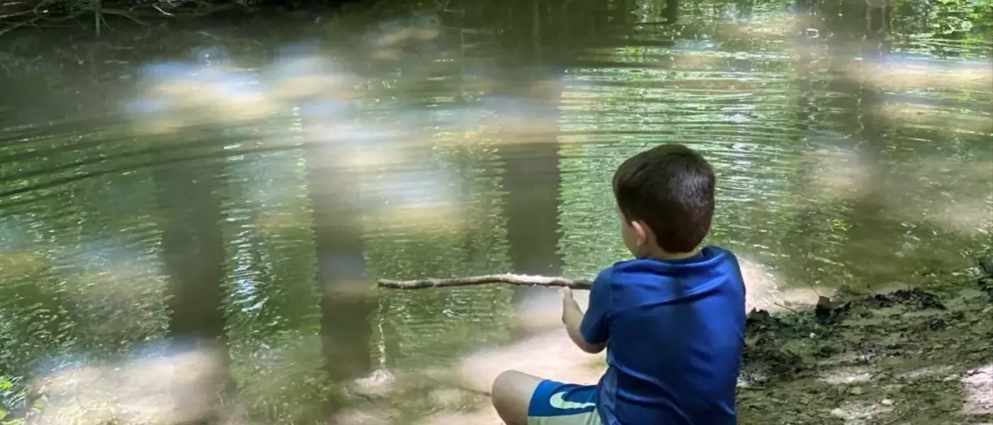 A Celebration of Nature: Encouraging Young Generations to Explore Parks