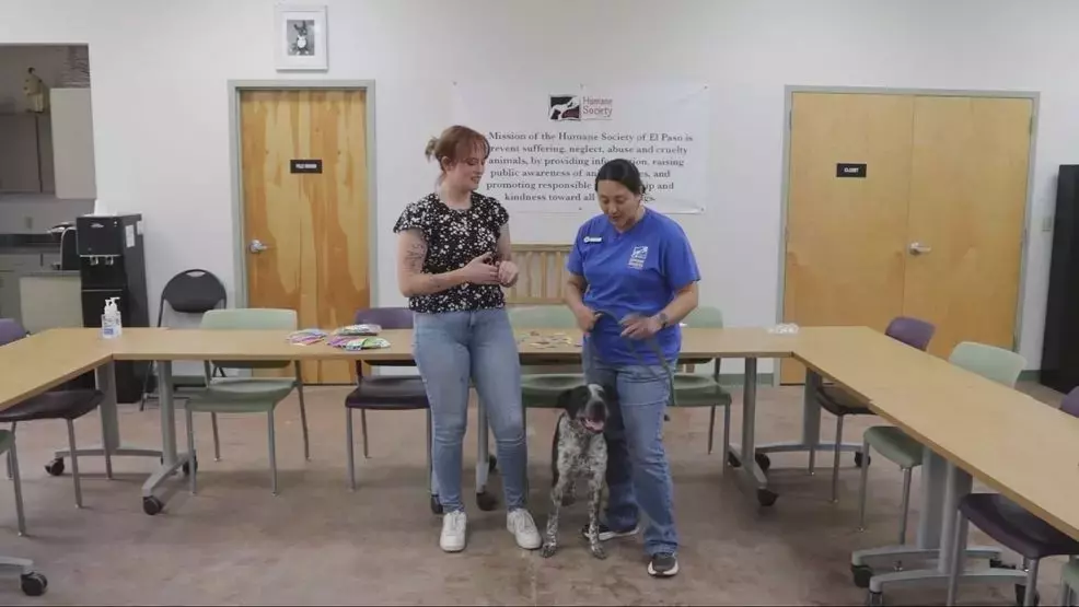 Empowering Young Hearts: El Paso's Unique Animal Advocacy Camp