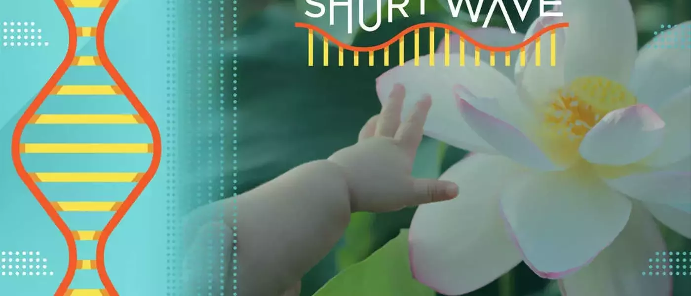 Navigating Parenthood Amidst the Climate Crisis: Insights from Experts