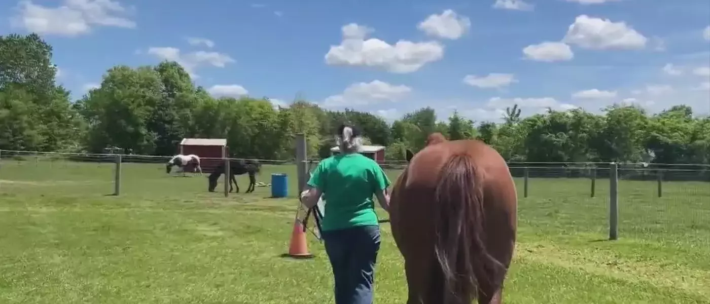 Empowering Young Hearts: A Unique Equestrian Initiative in Michigan