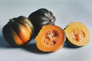 A Guide to Autumn and Winter Squash Varieties
