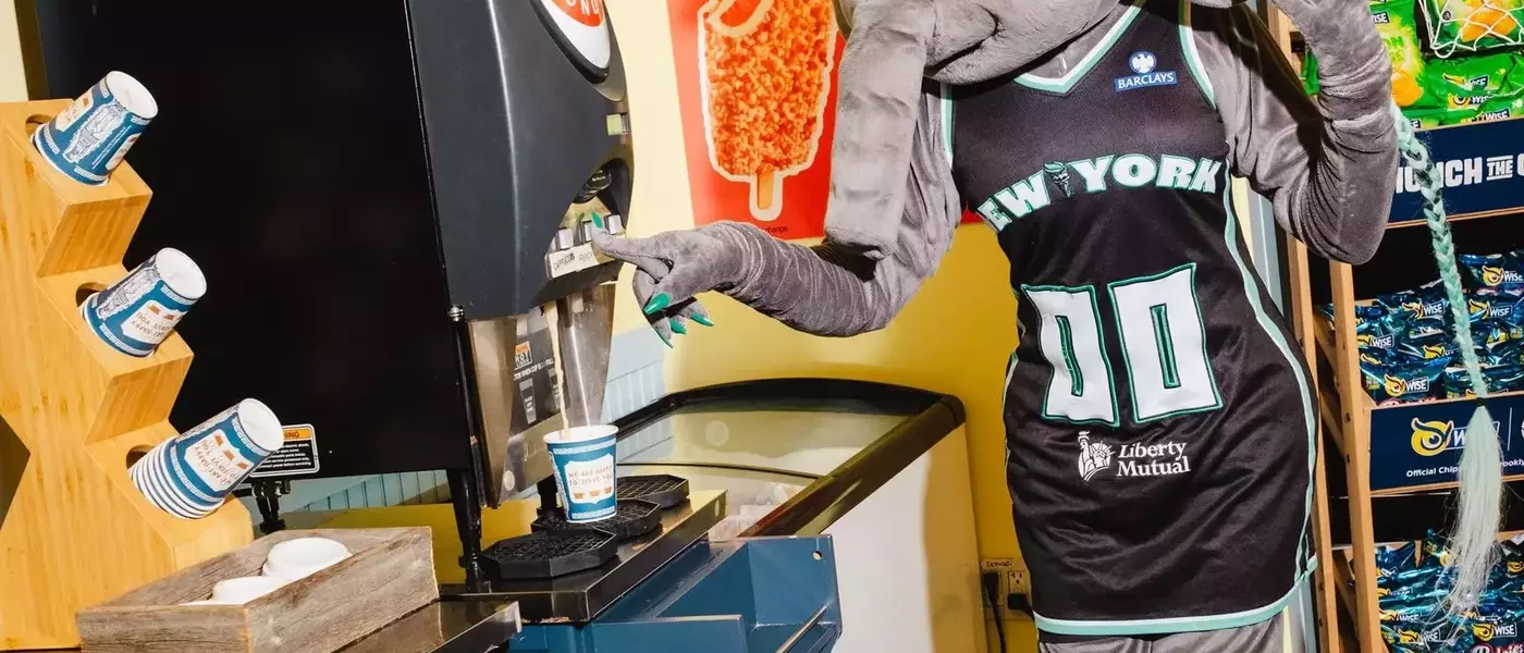 Ellie's Game Day: A Mascot's Journey Through Brooklyn