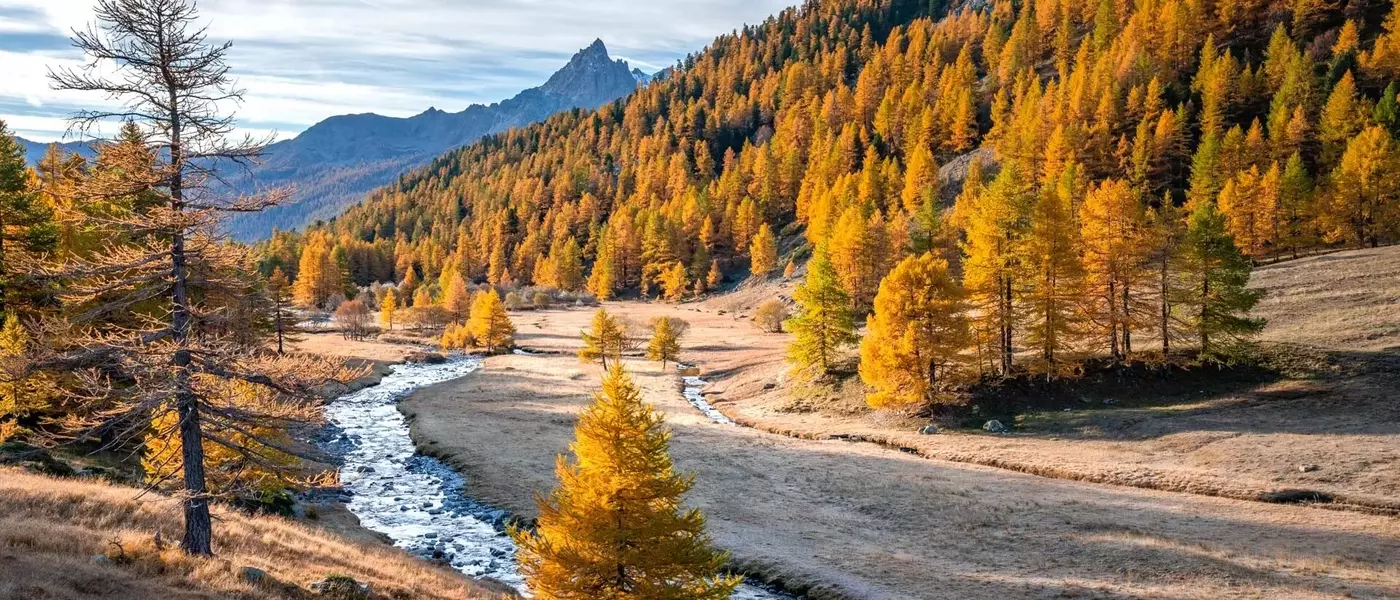 Évasion Automnale dans la Vallée de la Clarée : Randonnées et Couleurs Enchantées