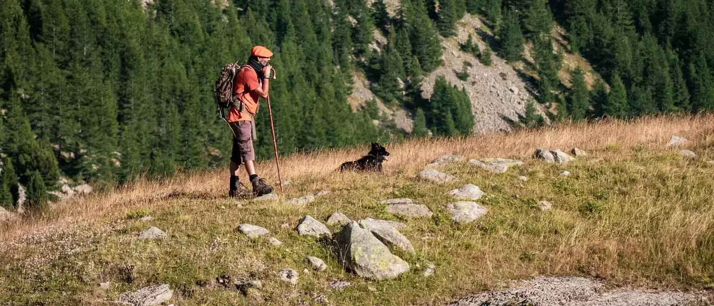 Patous et randonneurs : une cohabitation montagnarde délicate