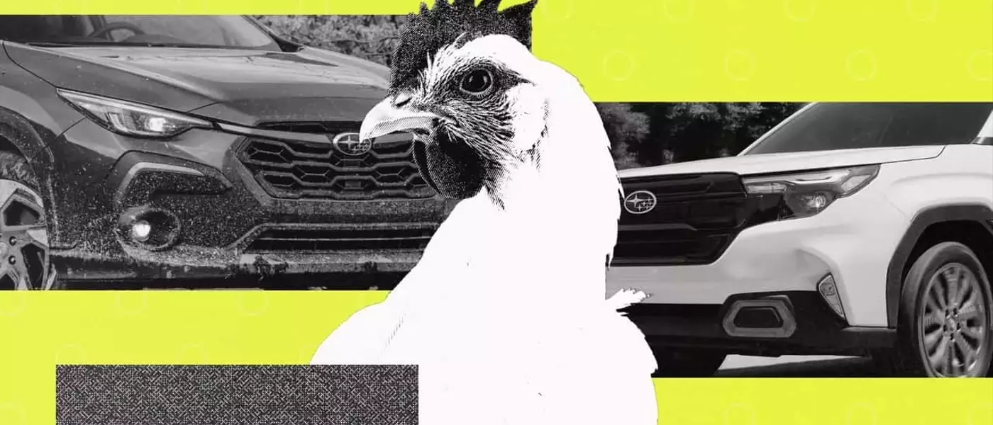 Subaru Owners' Unusual Cargo: A Deep Dive into Animal Transportation Habits