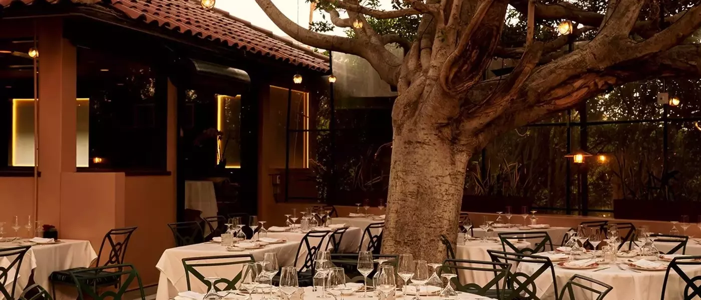 A Culinary Journey Through Palm Springs: Top Dining Destinations