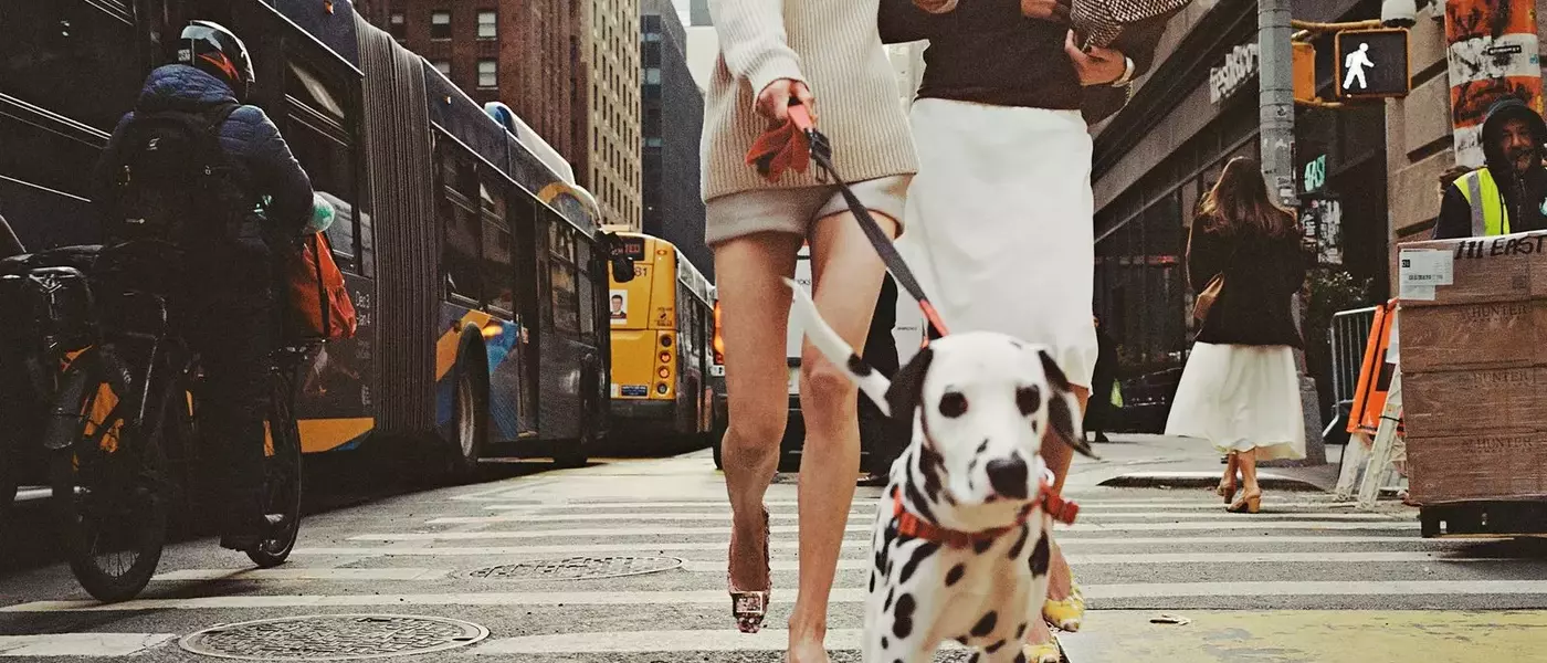 The Transformative Power of Footwear: Embracing Bold Styles