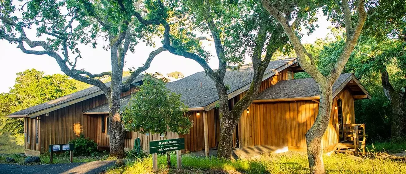 The Hoffman Process: A Deep Dive into the Intensive Self-Discovery Retreat Popular Among Tech Leaders