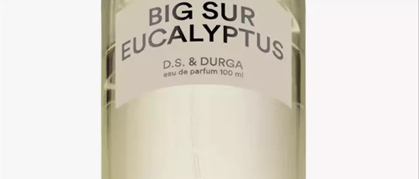 The Ultimate Spring Cologne Guide for Men