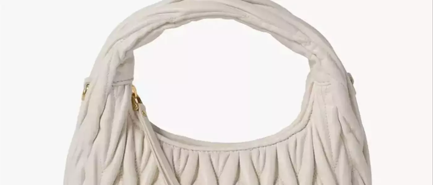 The Enduring Allure of Miu Miu's Wander Bag