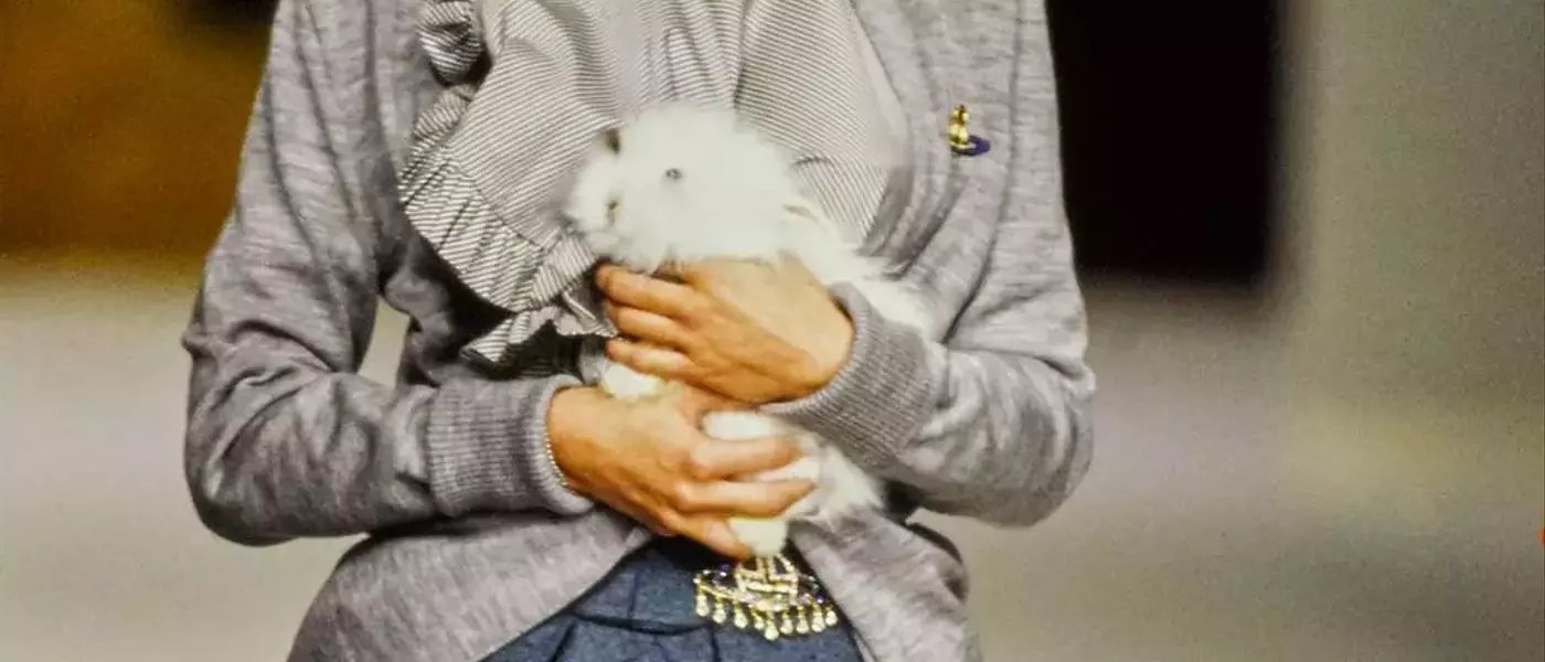 Runway Rabbits: A Fashion Retrospective