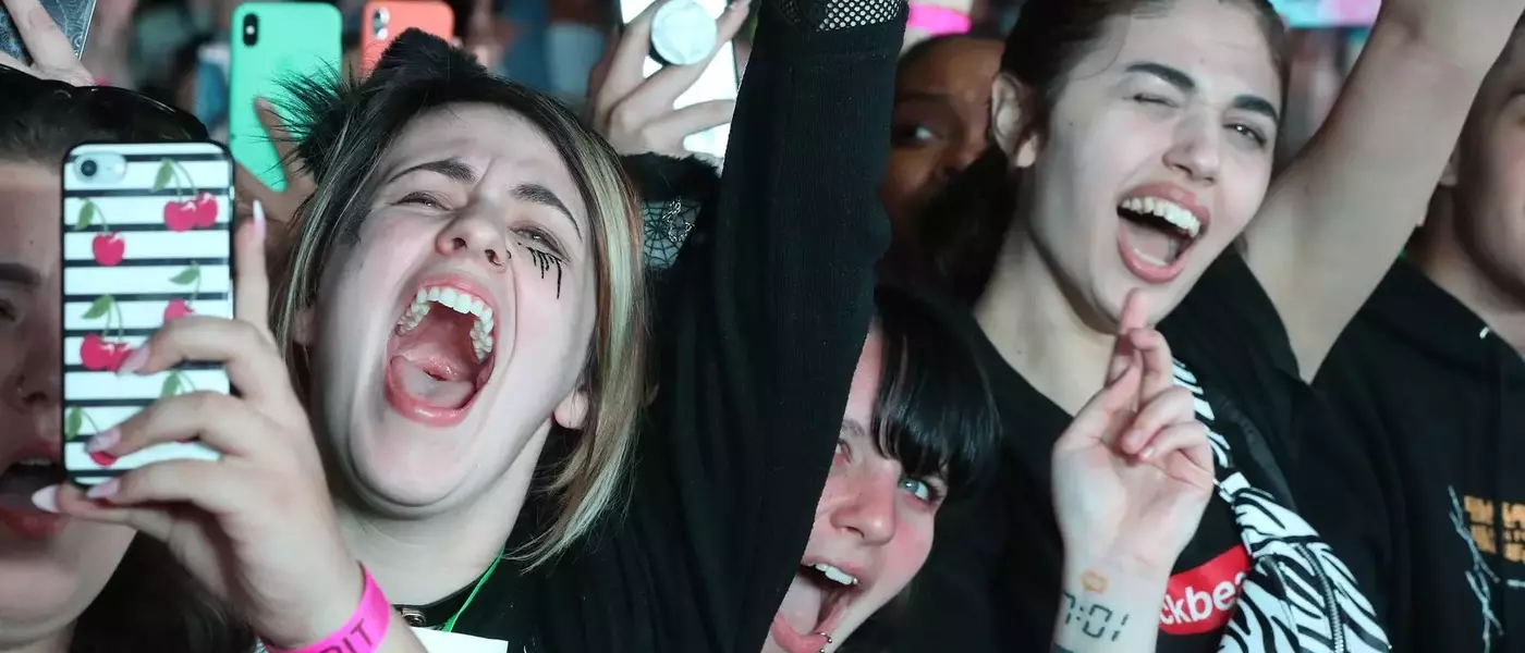 The Evolution of Fandom and its Commercial Impact