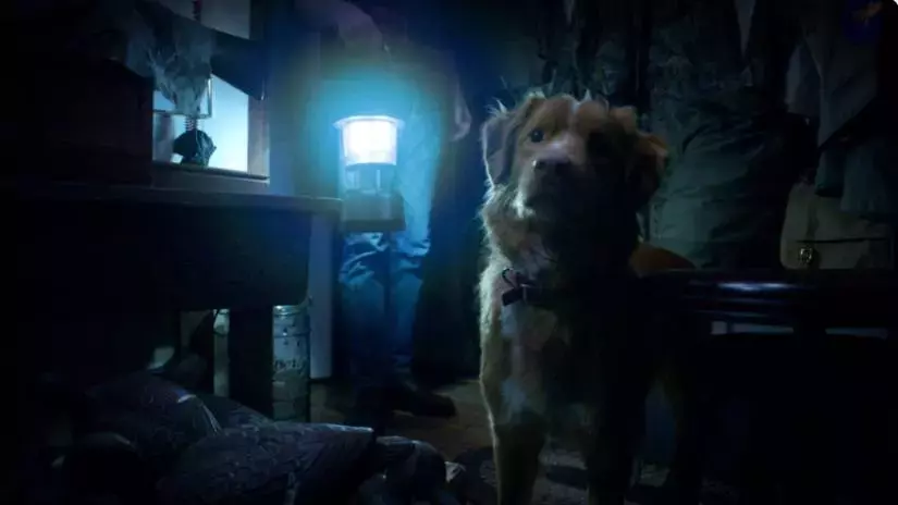 Good Boy: A Unique Canine Perspective on Horror