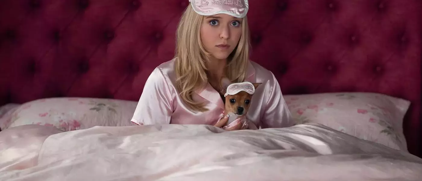 Elle: The Legally Blonde Prequel Series Unveils First Teaser