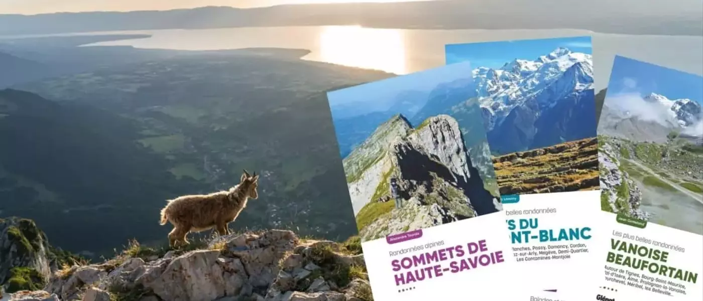 Découvrez les splendeurs alpines : itinéraires de randonnée pour l'été