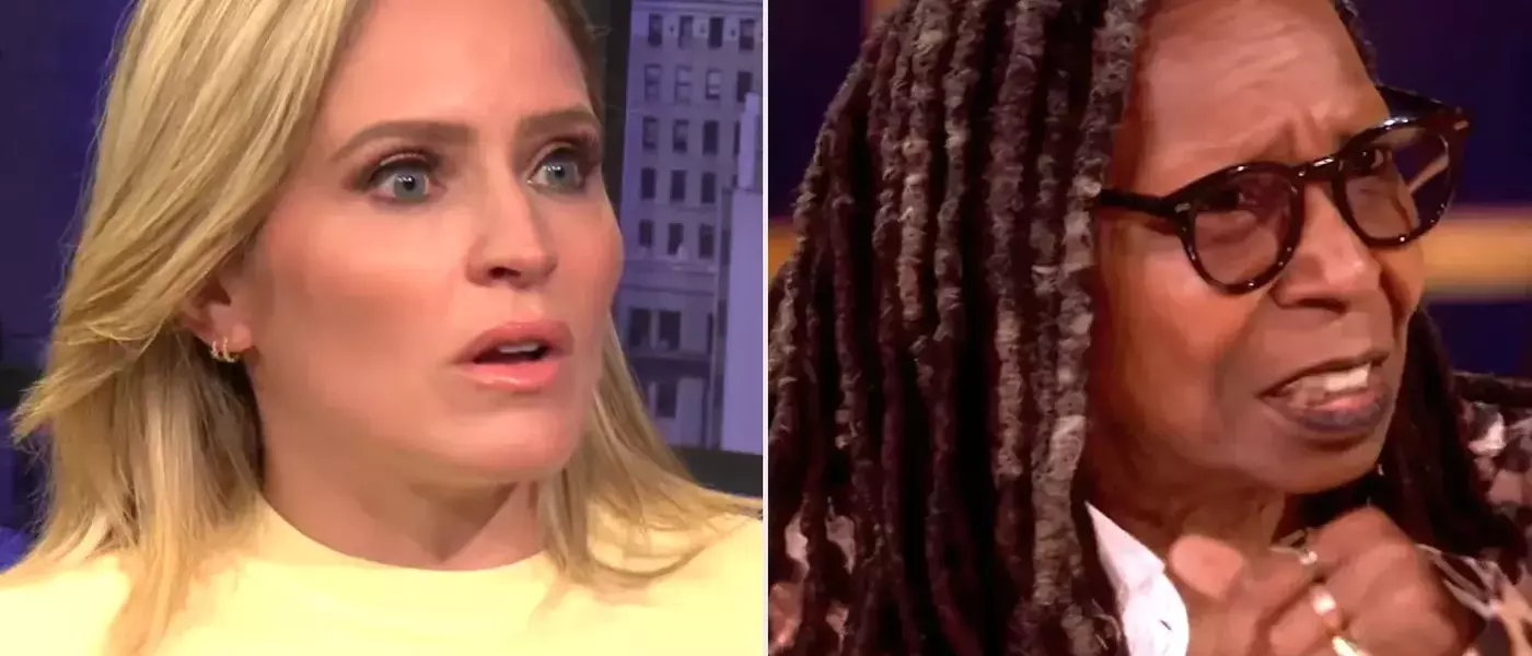 The View Co-Host Sara Haines Explains On-Air Slapping Incident with Whoopi Goldberg