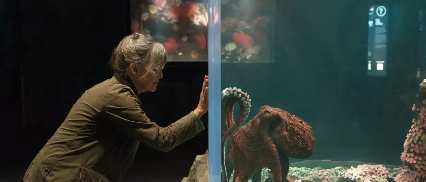 A Touching Tale of Unexpected Bonds: 'Remarkably Bright Creatures' Review