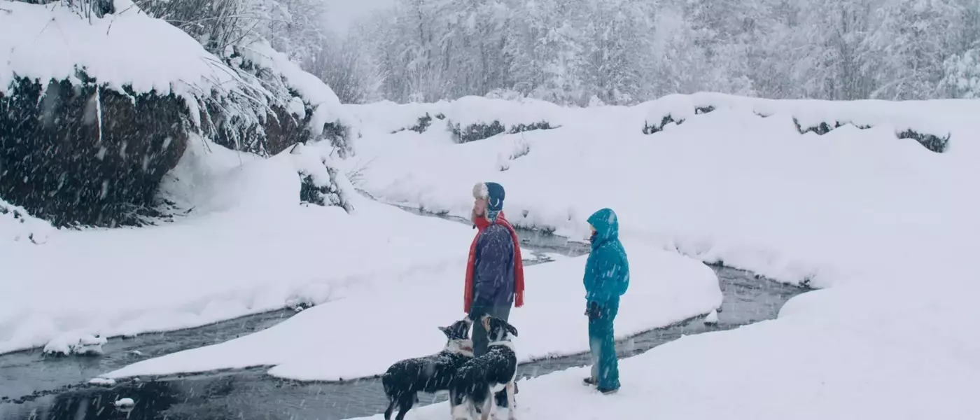 Unveiling "The Meltdown": A Deep Dive into Hidden Truths at Cannes