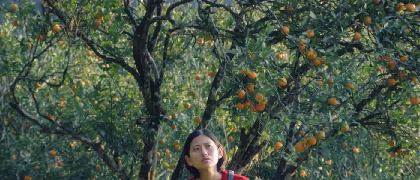 Critically Acclaimed 'Shape of Momo' Secures Indian Theatrical Release, Backed by Prominent Industry Figures
