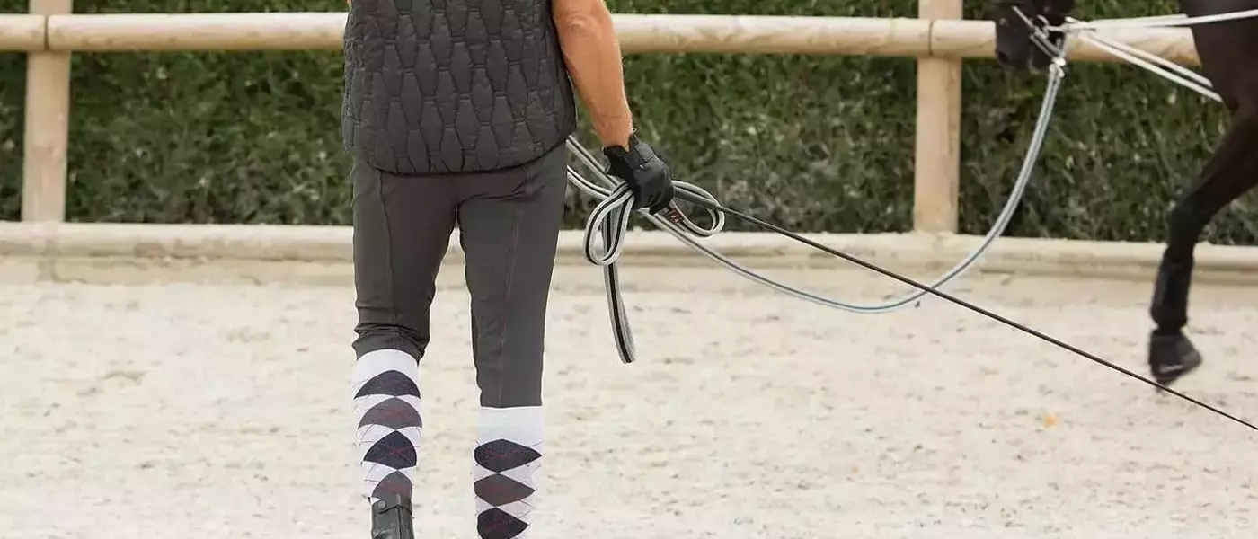 Équitation : l'équipement essentiel pour travailler un cheval à la longe