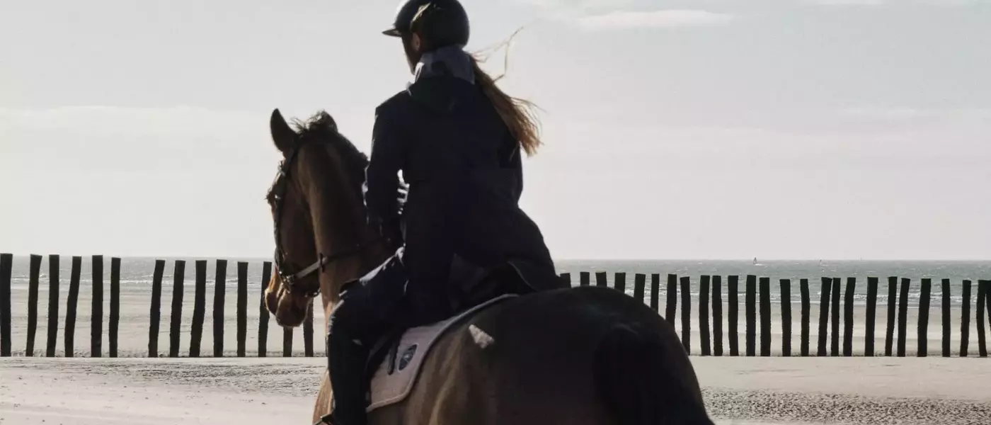 L'Art du Trotting : Un Guide Complet pour le Conditionnement du Cheval