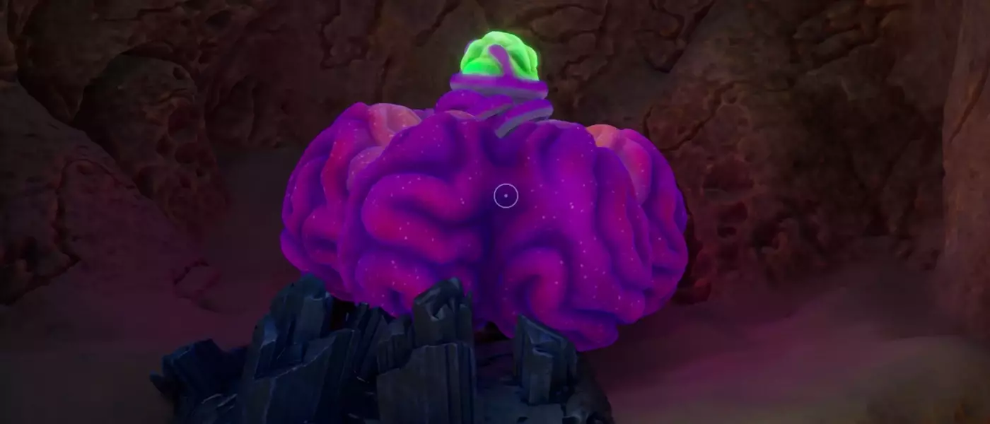 Obtaining Acidic Raion Pouch in Subnautica 2