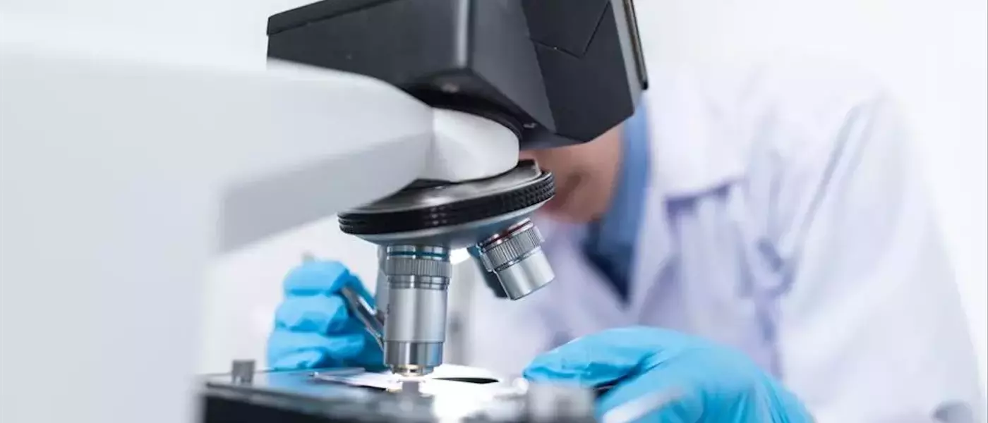Teva Pharmaceutical's Strong Q1 Performance and Strategic Acquisition