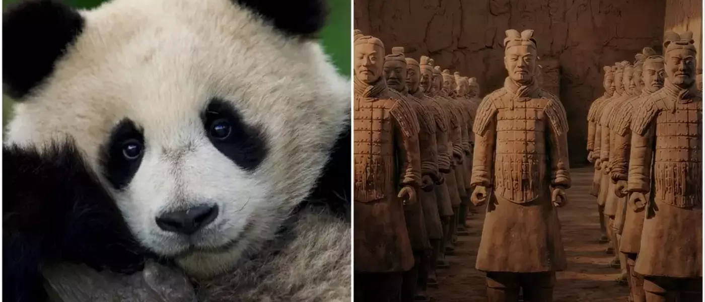 Fremantle's Beach House Pictures Unveils New Documentaries: 'Panda School' and 'Secret Weapons of China's First Emperor'