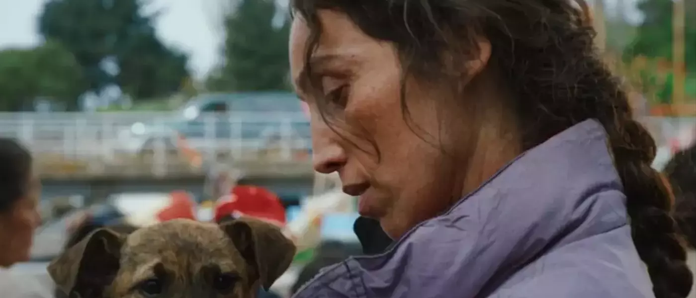 Female Canines and Auteurs Shine at Palm Dog Awards