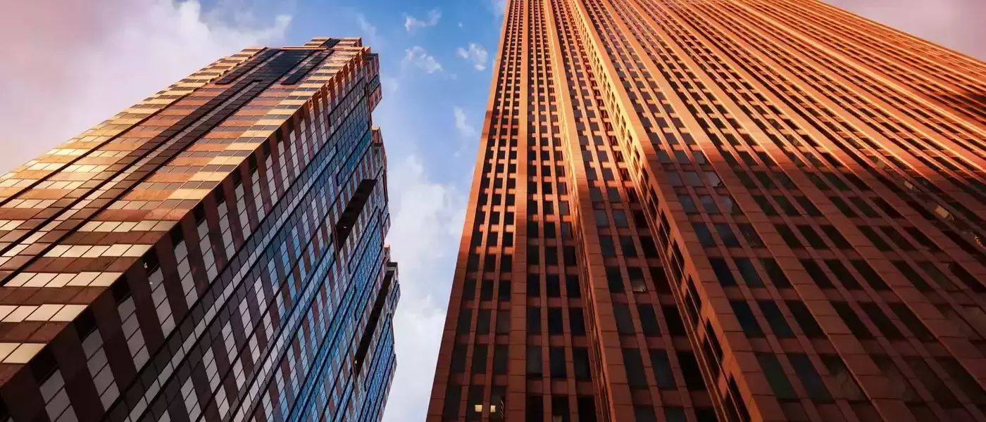 Understanding Domestic Corporations: Operations, Taxation, and State Choices